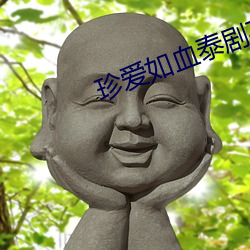 珍爱如血泰剧在(zài)线(xiàn)观看完(wán)整