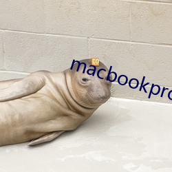 macbookpro1819