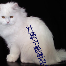 女婿不(bù)能谢在里面