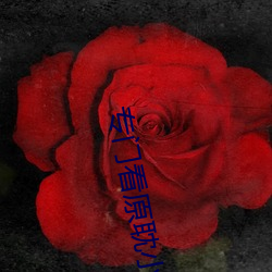 专门看原耽小说的免费软件
