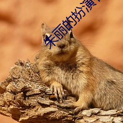 朱丽的扮演者