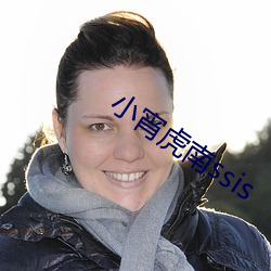小宵虎南ssis