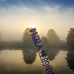 韩(韓)国人(人)性(性)的电(電)影