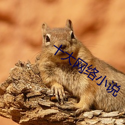 十大网(網)络小说