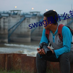 swag是什么软件