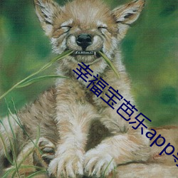 幸福宝芭(bā)乐app导航