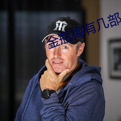 金瓶梅有几部