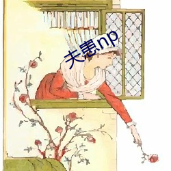 夫患np （逐步）