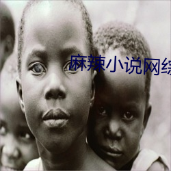 麻辣小说网综排行榜