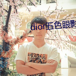 dior五色眼(yǎn)影777