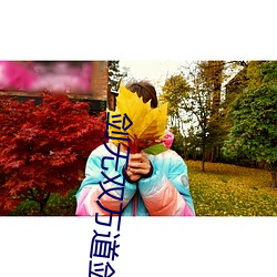 剑无双万道剑尊免费阅读