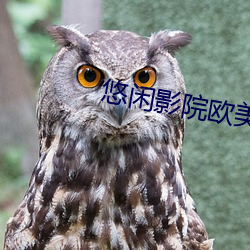 悠闲(xián)影院欧美片