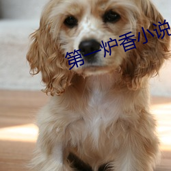 第一炉香小说