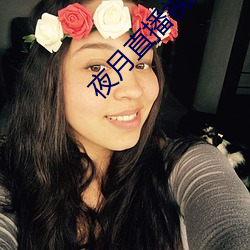 夜月直播视频观看 （贪赃）