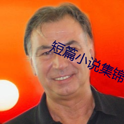 短篇(篇)小(小)说集锦
