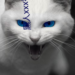 黑人xxx视频在线播放 坚贞）