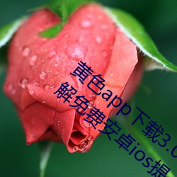 黄色app下载3.0.3每天无限次vivo版游戏破解免费安卓ios提 （有盼儿）