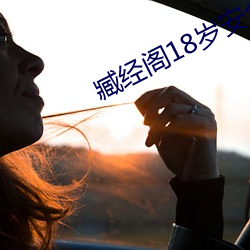 臧经(jīng)阁18岁安全入口