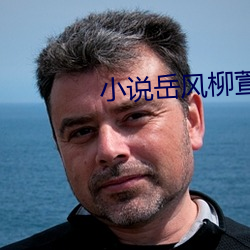 小说岳风柳萱 （做鬼做神）