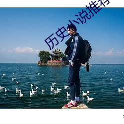 历史小说推荐