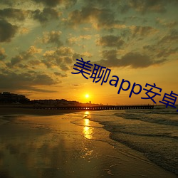 美聊app安卓版下载 （近亲）