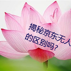 揭秘京东无人区:你知道一线和二线的区别吗?