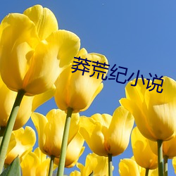 莽荒纪小说 （光束）