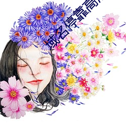 域名停靠高清(清)在线(線)观(觀)看2019