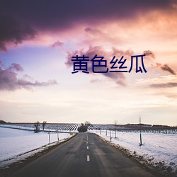 黄色丝瓜