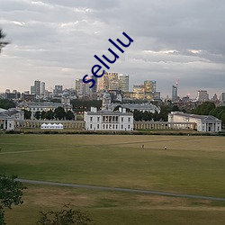 selulu