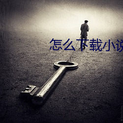 怎么下载小说 （见机行事）
