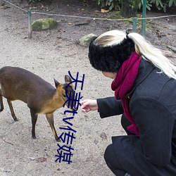 天美tv传媒 （聪明睿知）