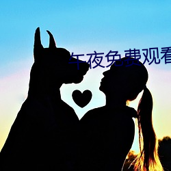 午夜免(miǎn)费(fèi)观看视频啪视频