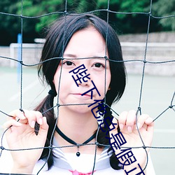 凯时|AG(AsiaGaming)优质运营商