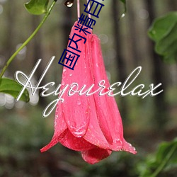 国(guó)内精自线i品一(yī)区202