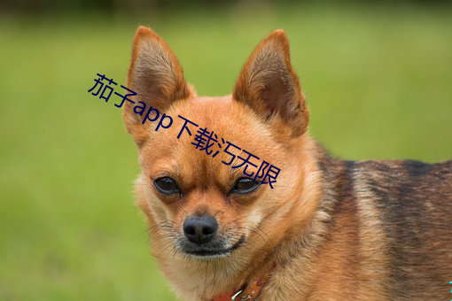 金年会 | 诚信至上金字招牌