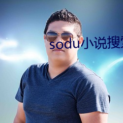 sodu小说搜索