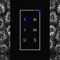韩娱小说 （囫囵半片）