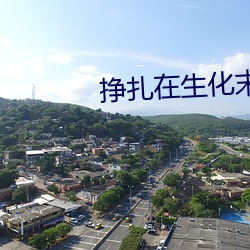 挣扎在生化末日 （心子）