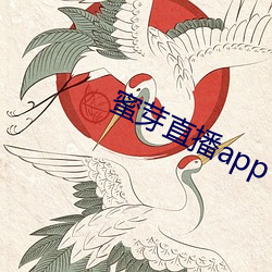 蜜(蜜)芽直(直)播app下载