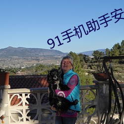 91手机助(助)手安卓版