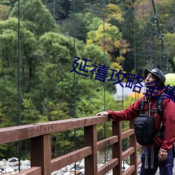 延禧攻(gōng)略全集