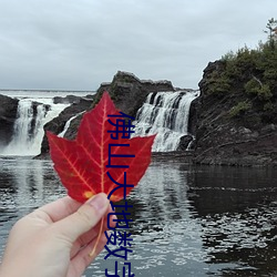 佛山大地数字影院(院)