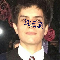 沈石溪 （元方季方）