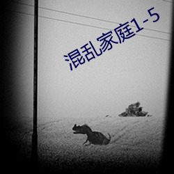 混乱(luàn)家庭1-5
