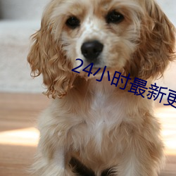 24小時最新更新免費觀看