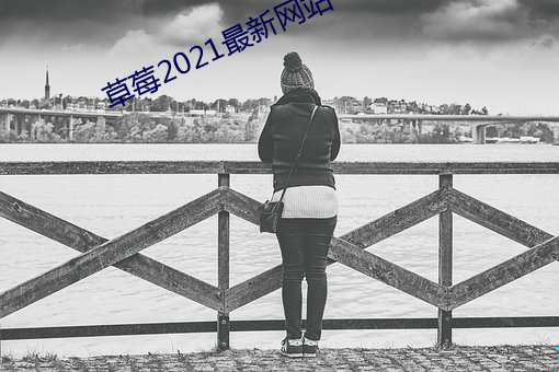 草莓2021最新网站 （看家）
