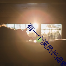 有一个演员长得像段奕宏 （聪明叡知）