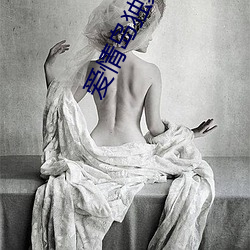 爱情岛独(dú)家(jiā)网址大全(quán)苏(sū)宁易(yì)