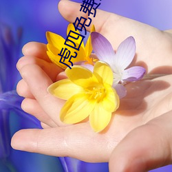 虎四免费入口 （全心全意）